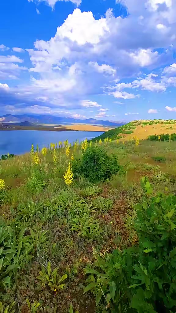 @Abdullah Özçelik