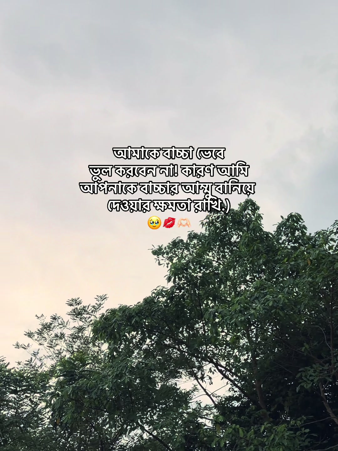 @❏ 𝗔𝗙𝗝𝗔𝗟'🐼