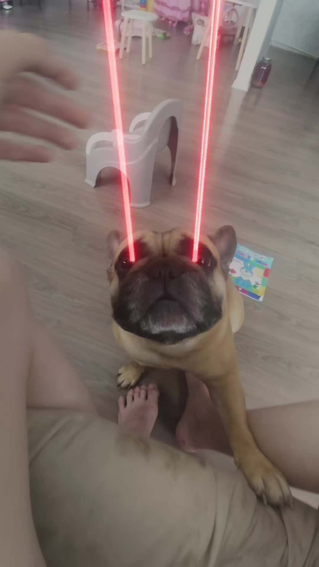@ForlZzz