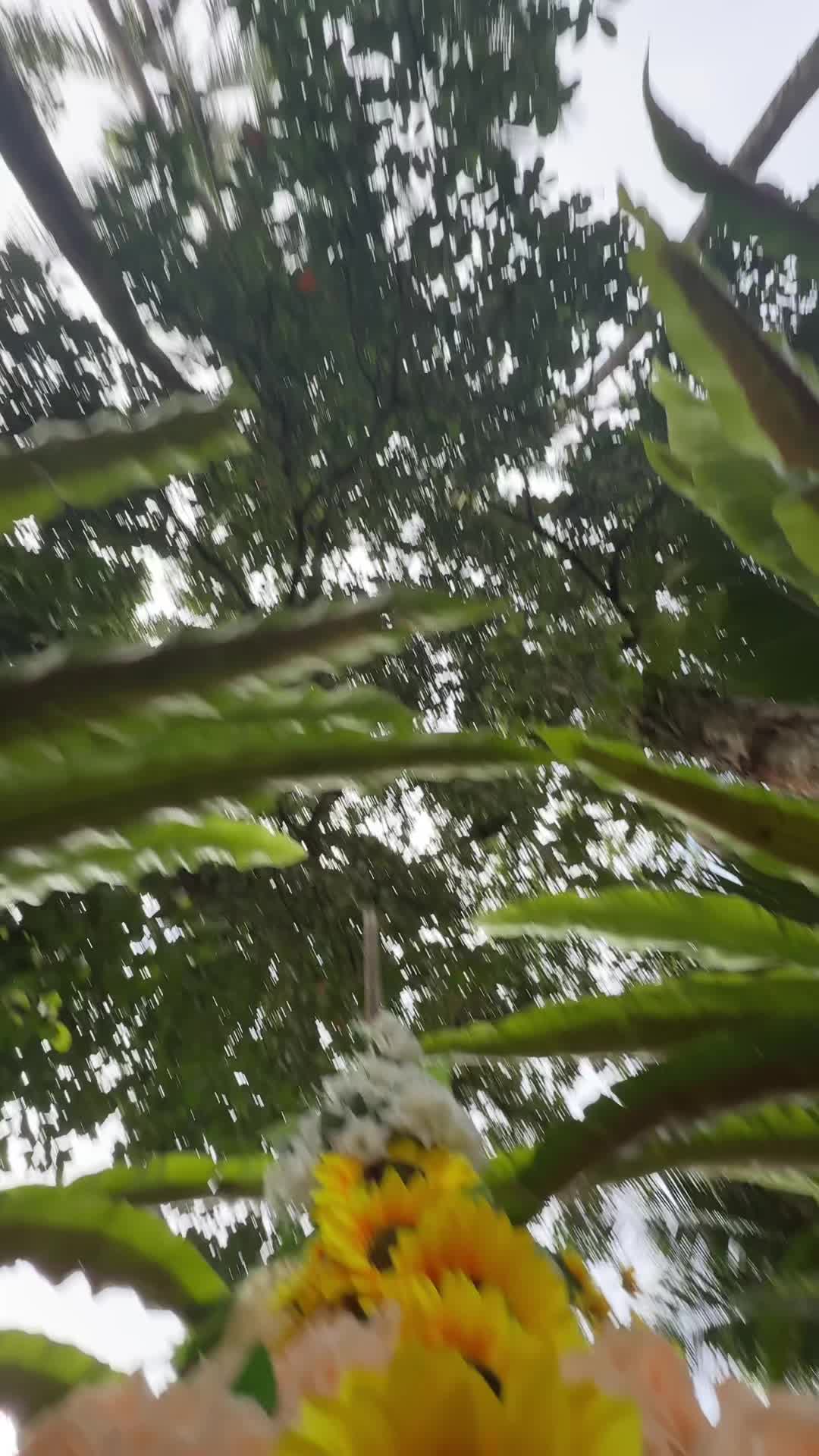@सनम