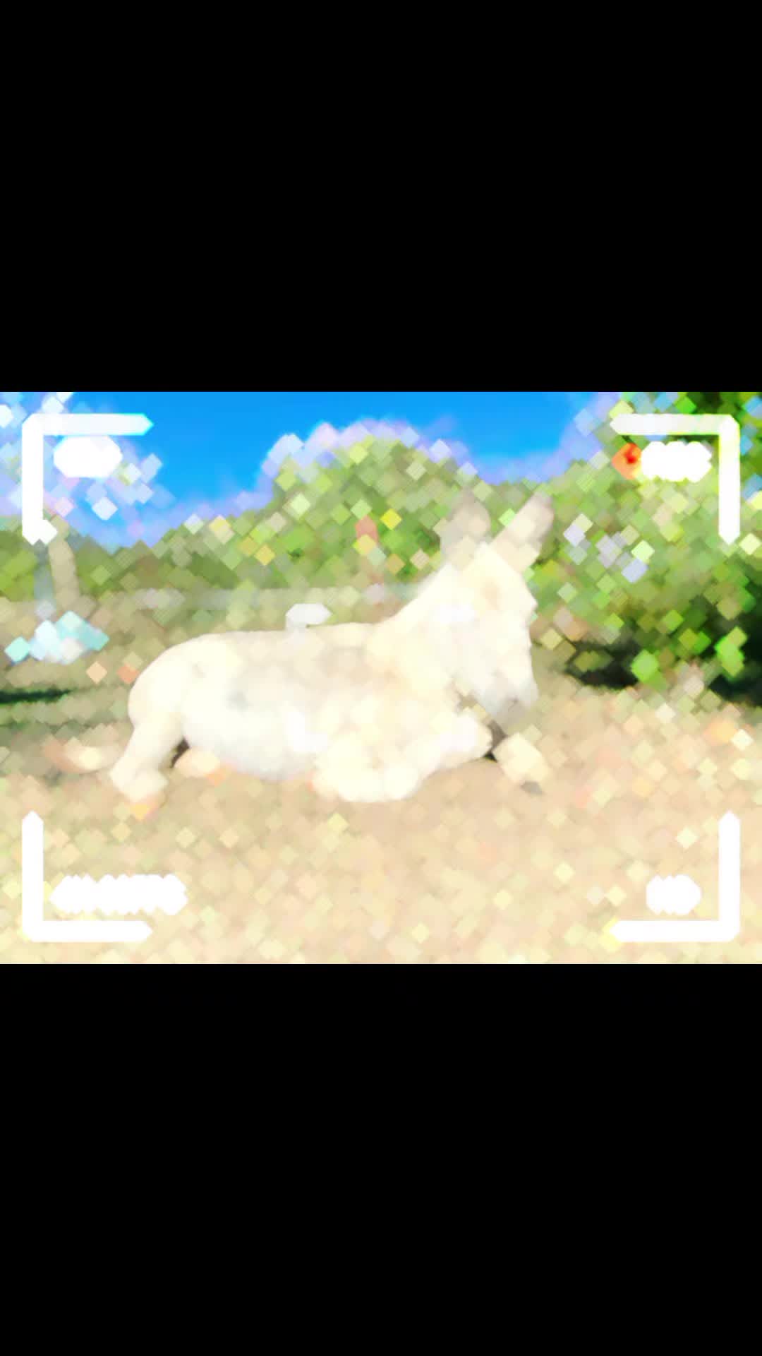 @🦚🆃𝓲𝓮𝓻🅿𝓪𝓻𝓴🆃𝓸𝓴🦚