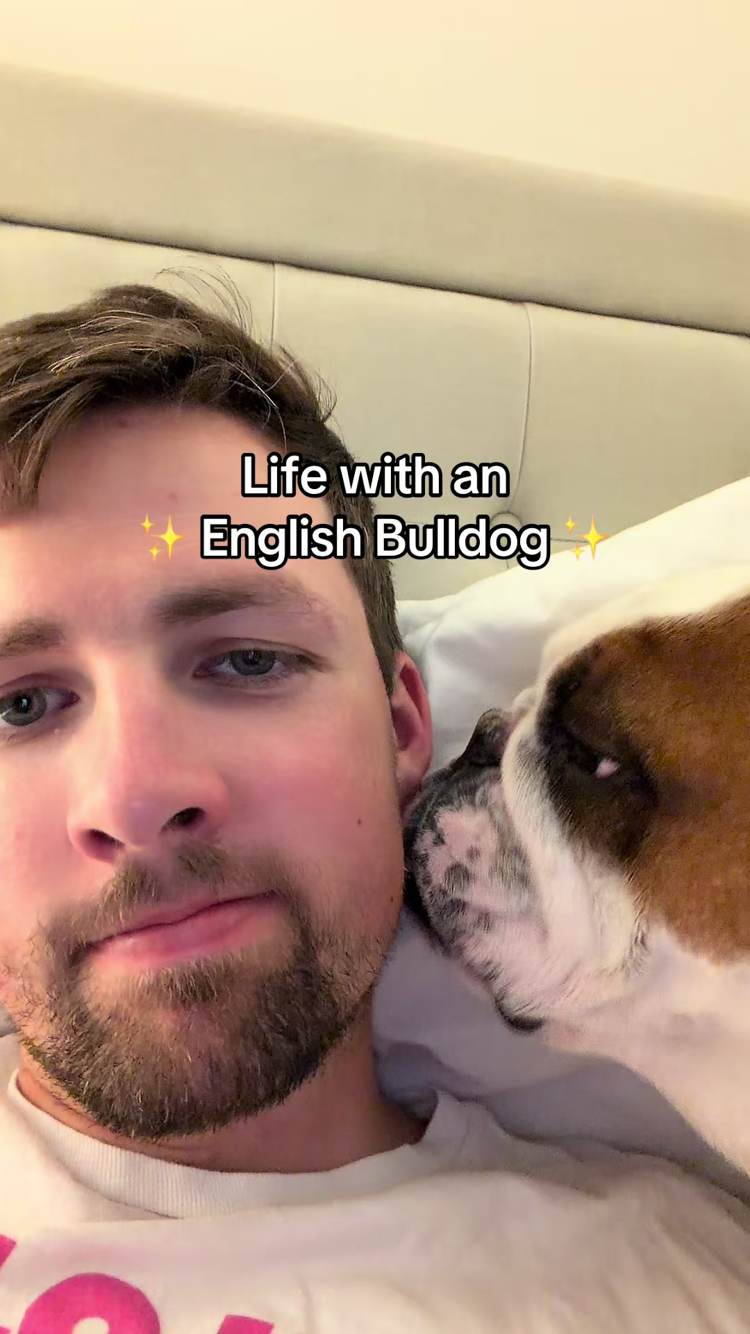@Poptart & Patches