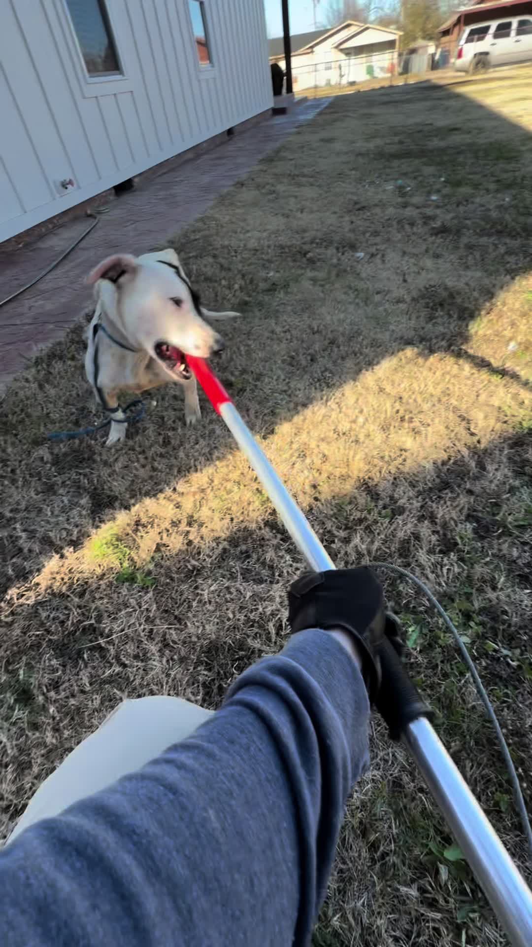 @AnimalWelfareGuy