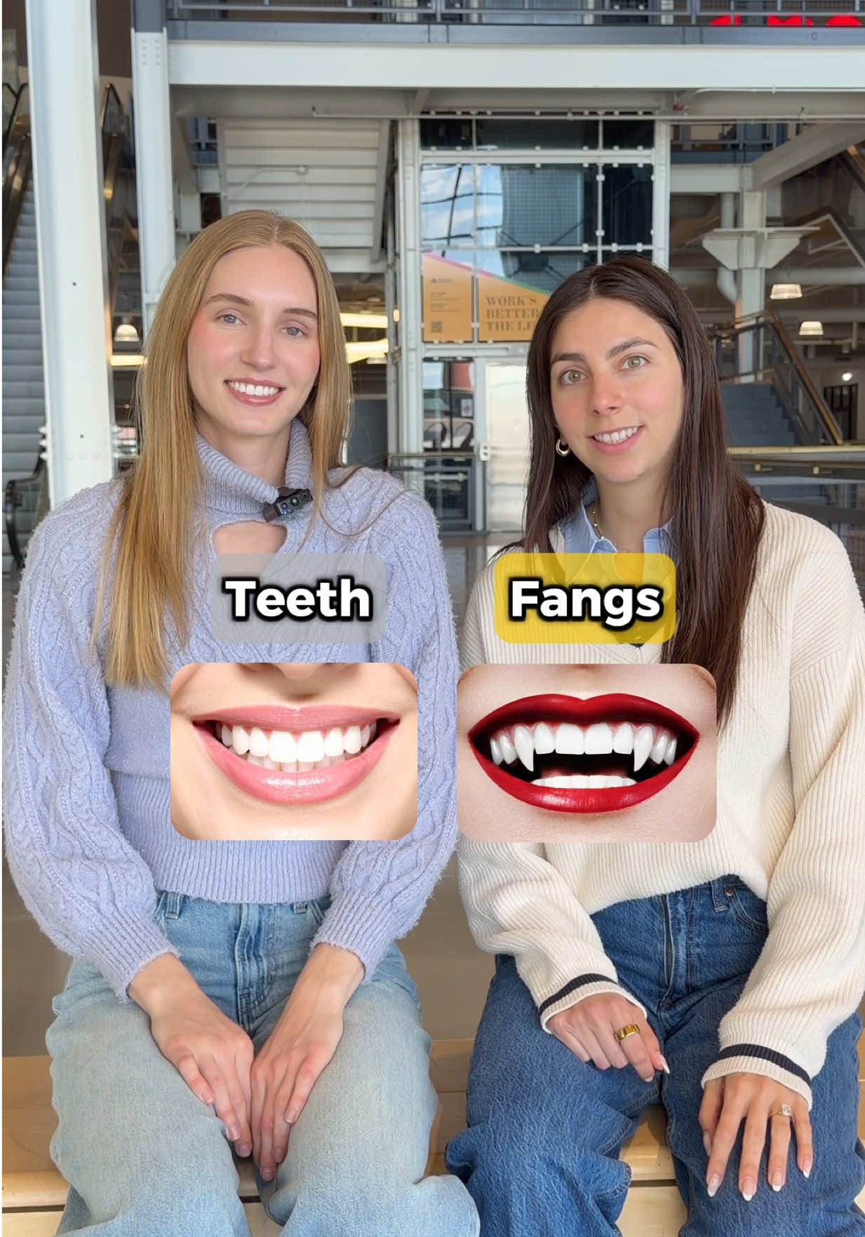 @Ariannita la Gringa
