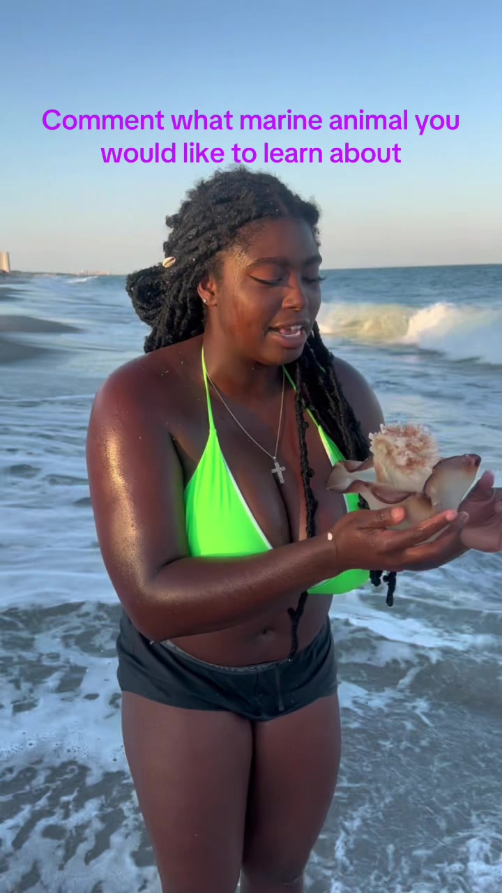 @Your Ocean BFF & Fun Facts🪼