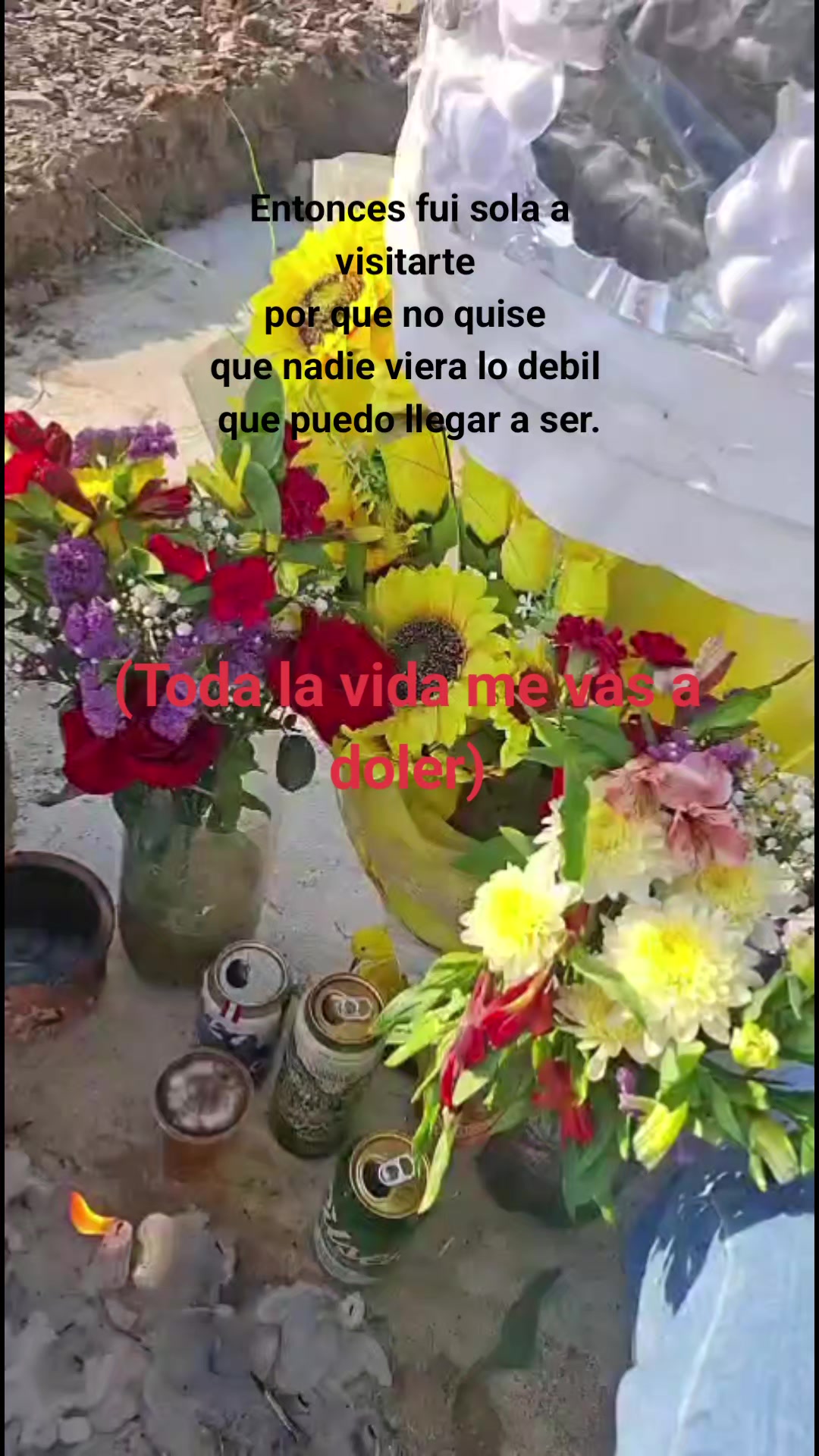 @LUZ.G.A❤️👸🤍