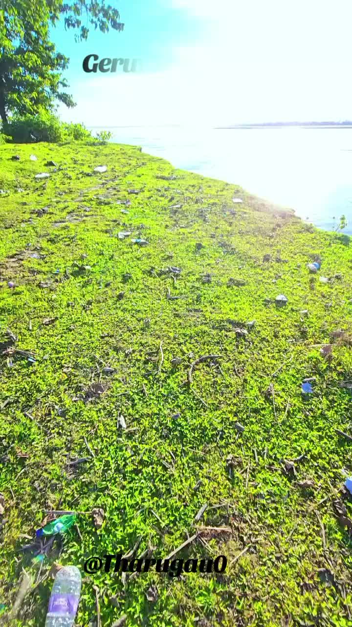 @थारु गाउँ☘️♥️