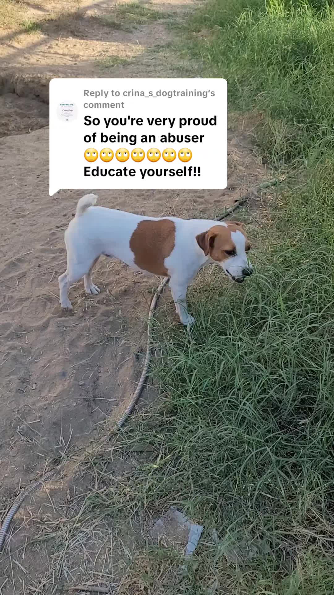 @VioletHorizonsFarm