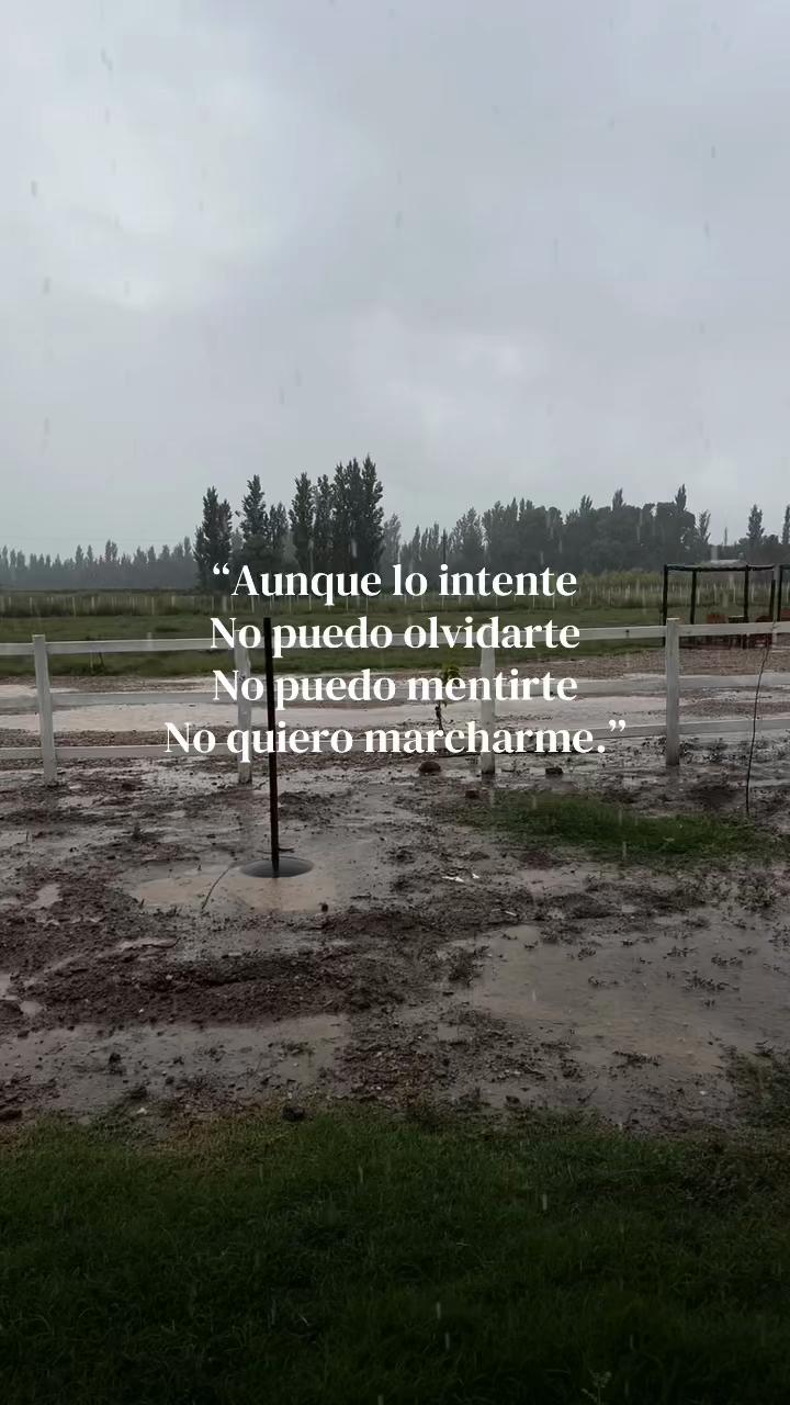 @Danita Lopez