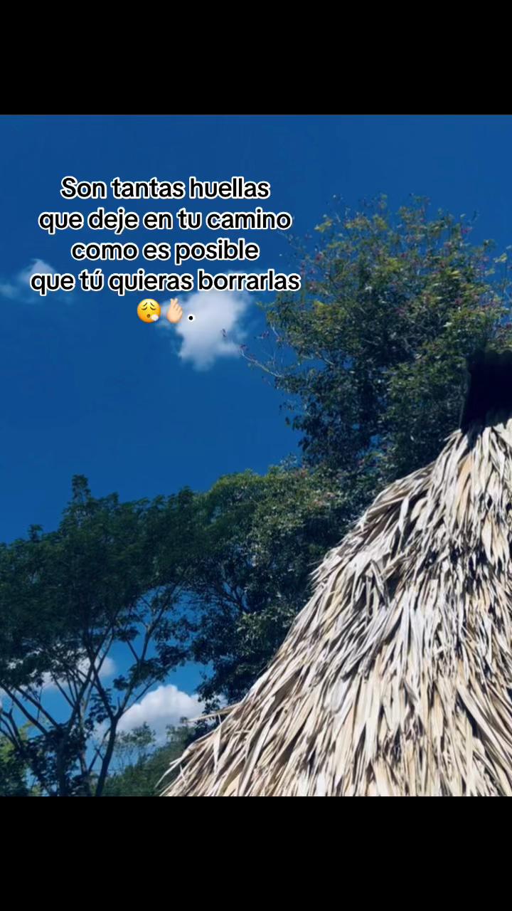 @⭑.