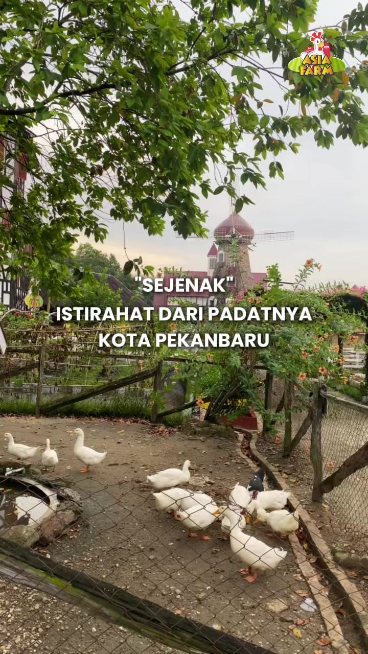 @Asia Farm Pekanbaru