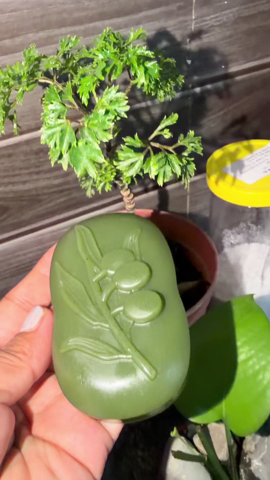 @नाना 🧘&zwj;♀️💚