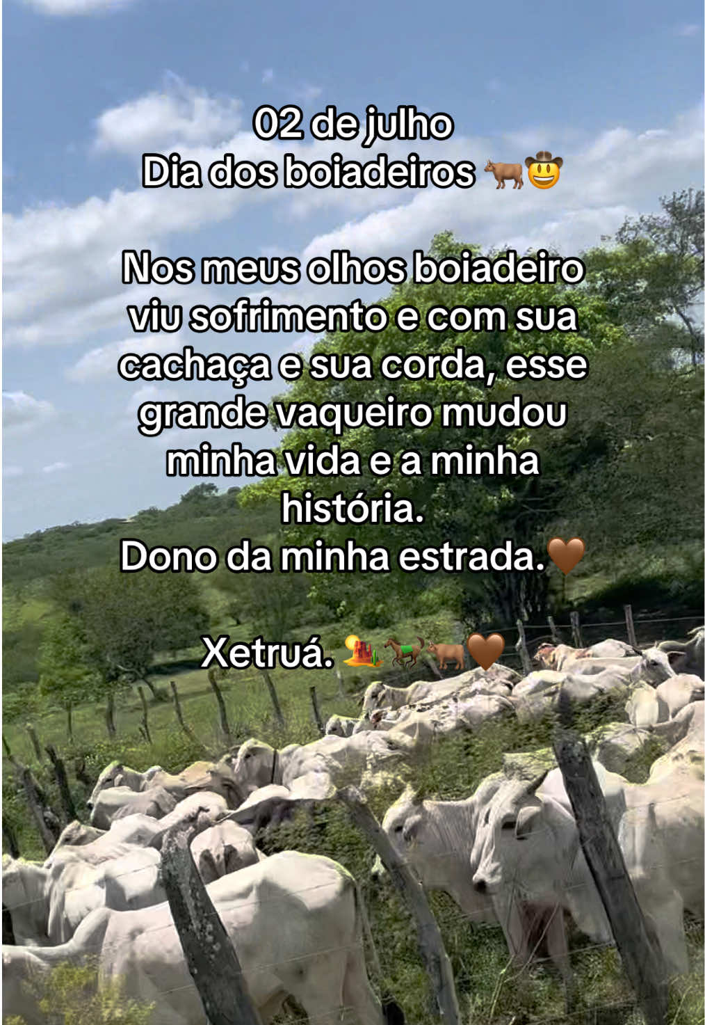 @Luana Moura