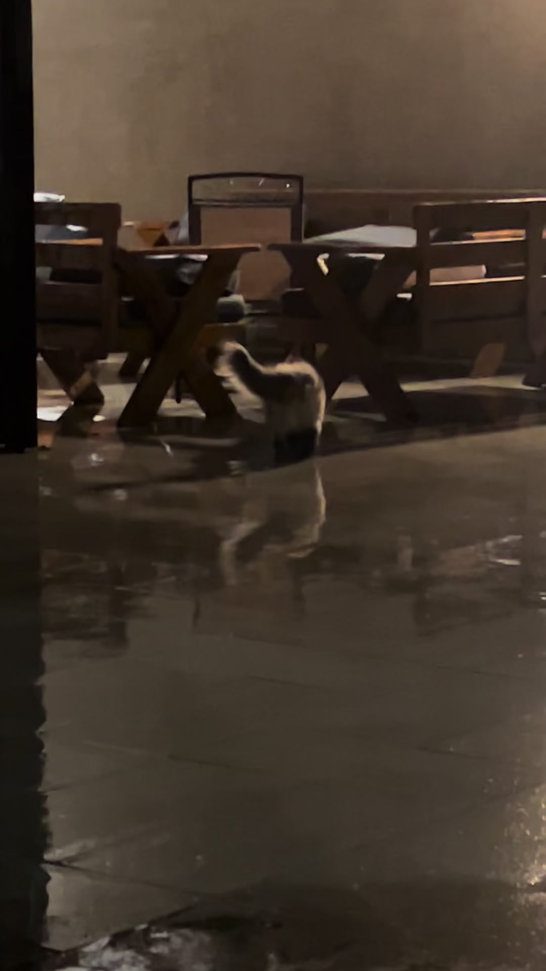 @Ga