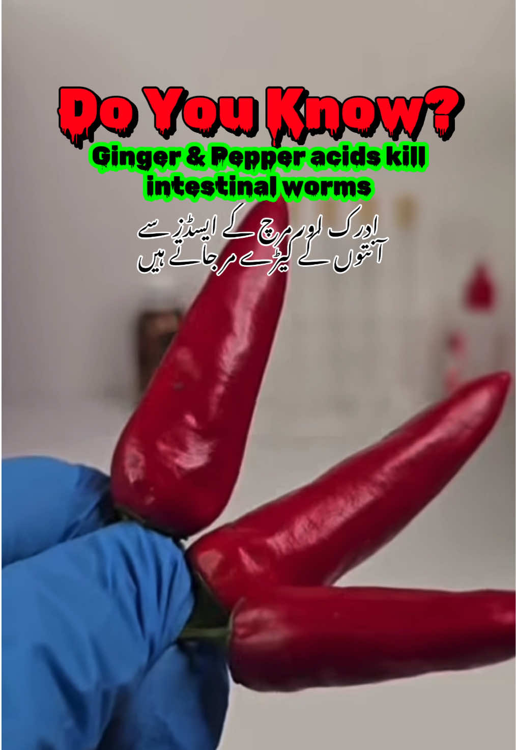 @Pest Mysteries