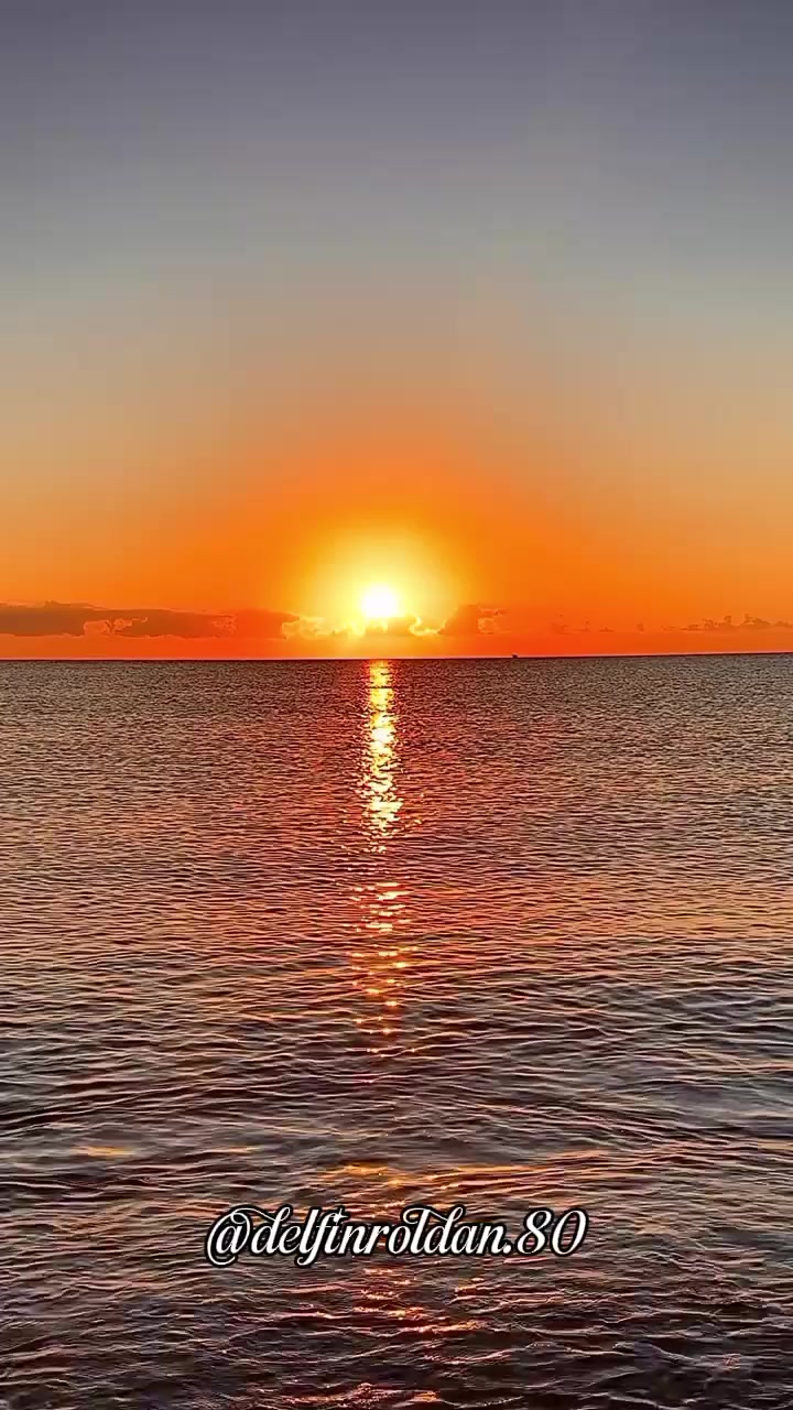 @Delfín🇪🇨