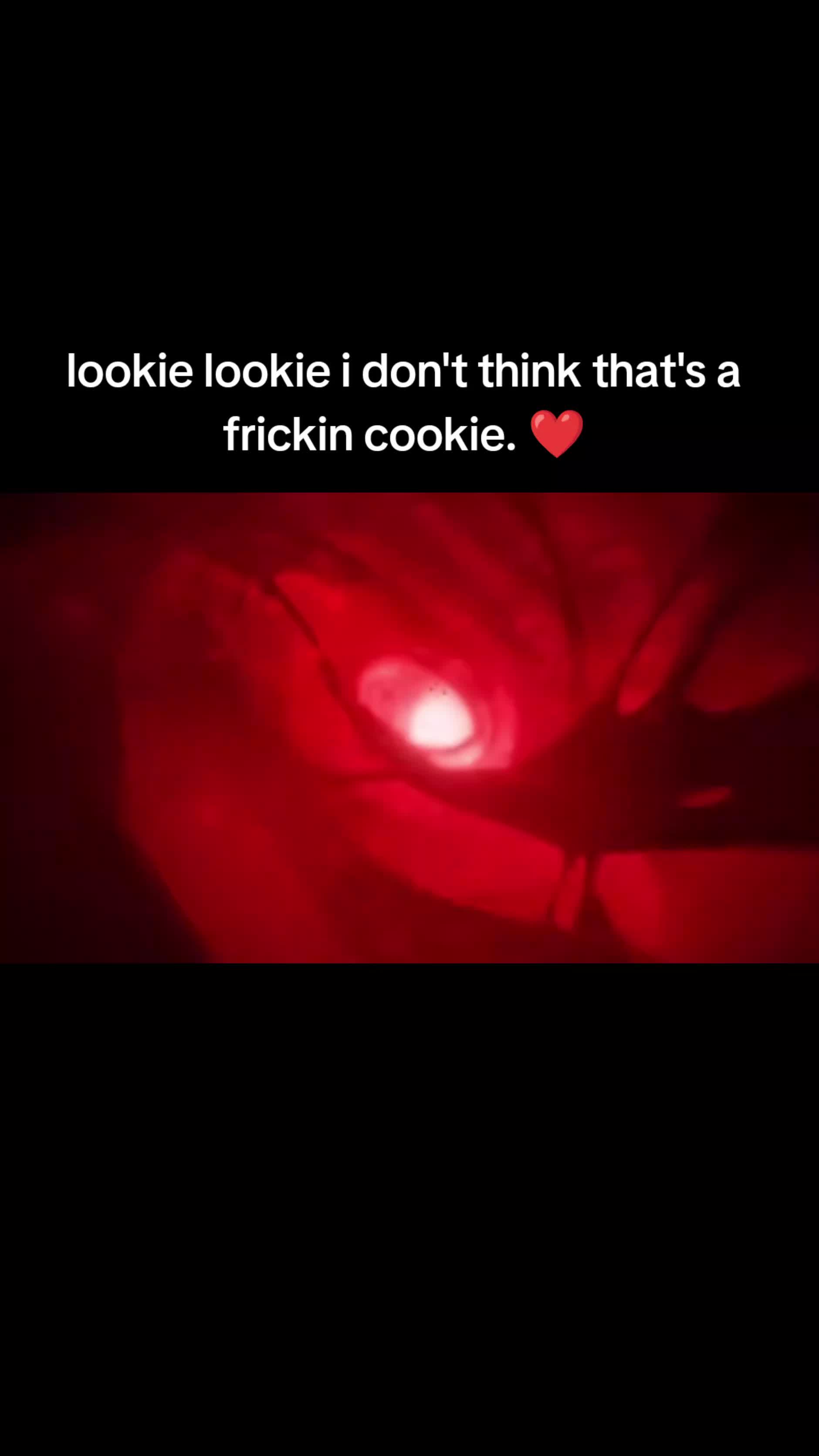 @𝖜𝖍𝖔𝖘𝖆𝖓𝖉𝖗𝖔𝖒𝖊𝖉𝖆𖥔