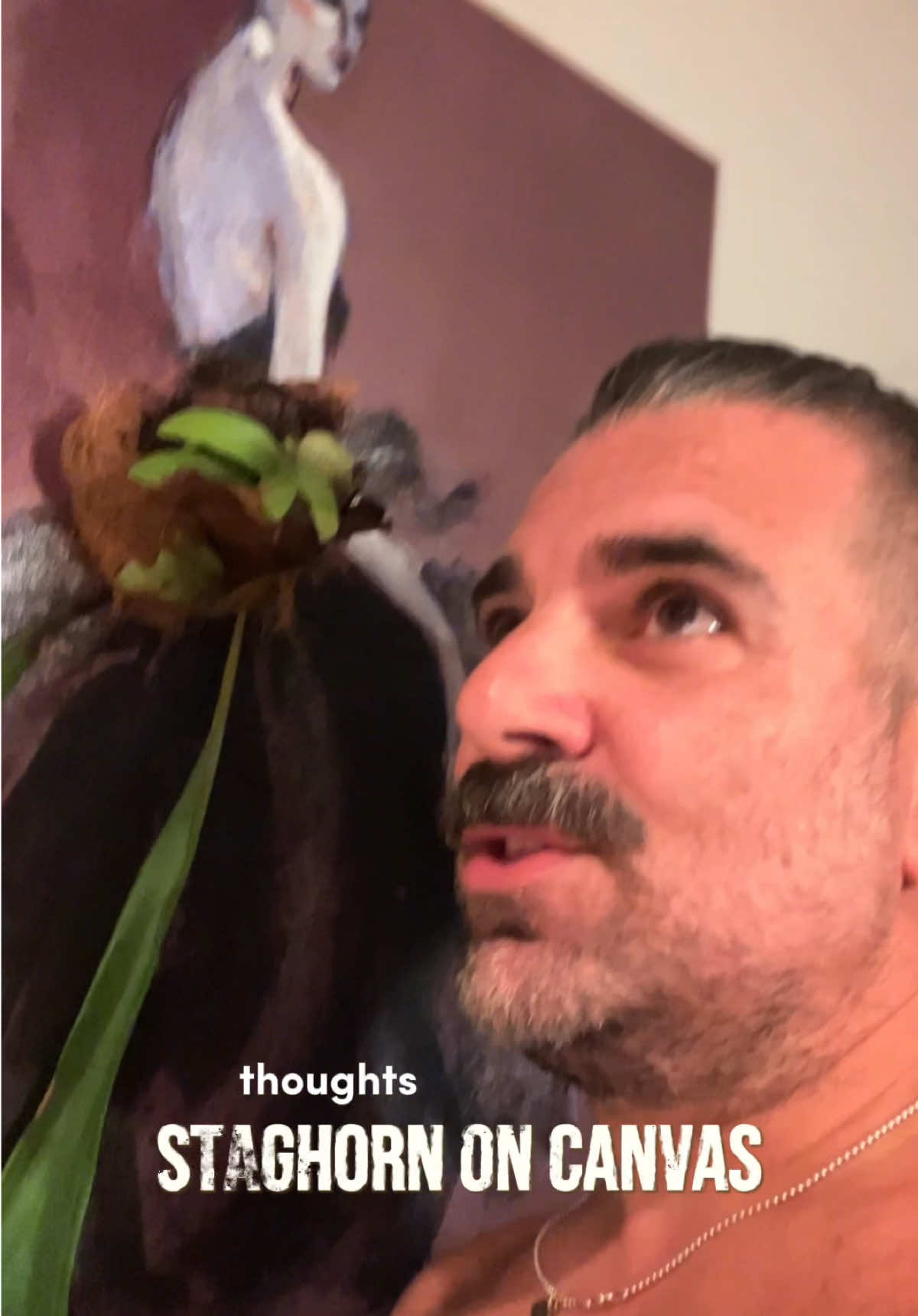 @bearfluence
