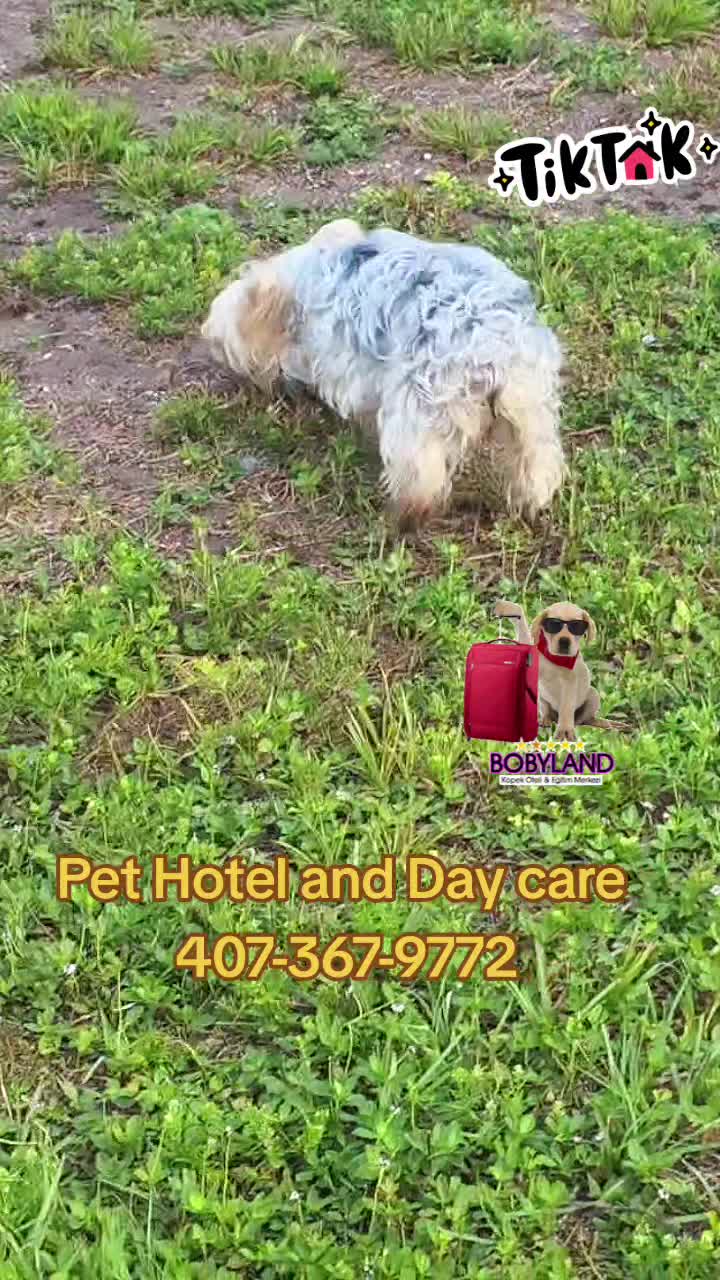 @Patrol and colors Grooming LLC