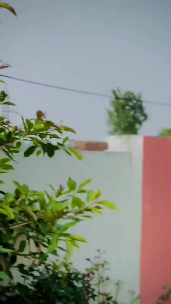@"Sãîfëë"gëë❣️
