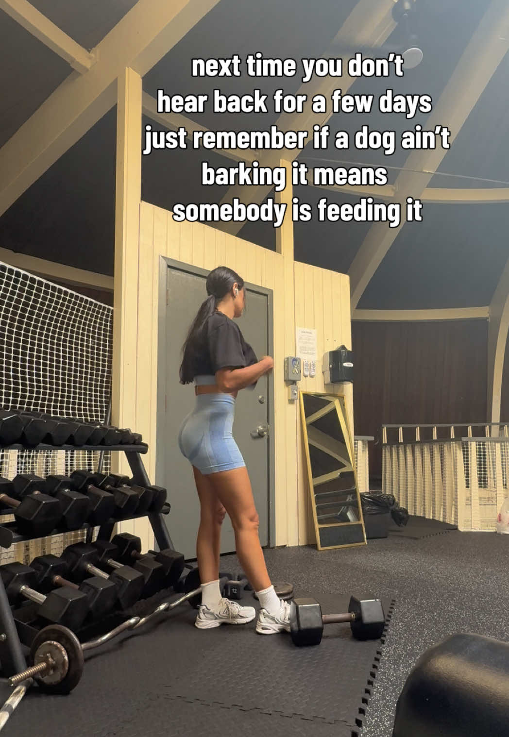@dionnanoelle