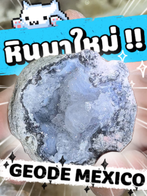 @Abo.Plus