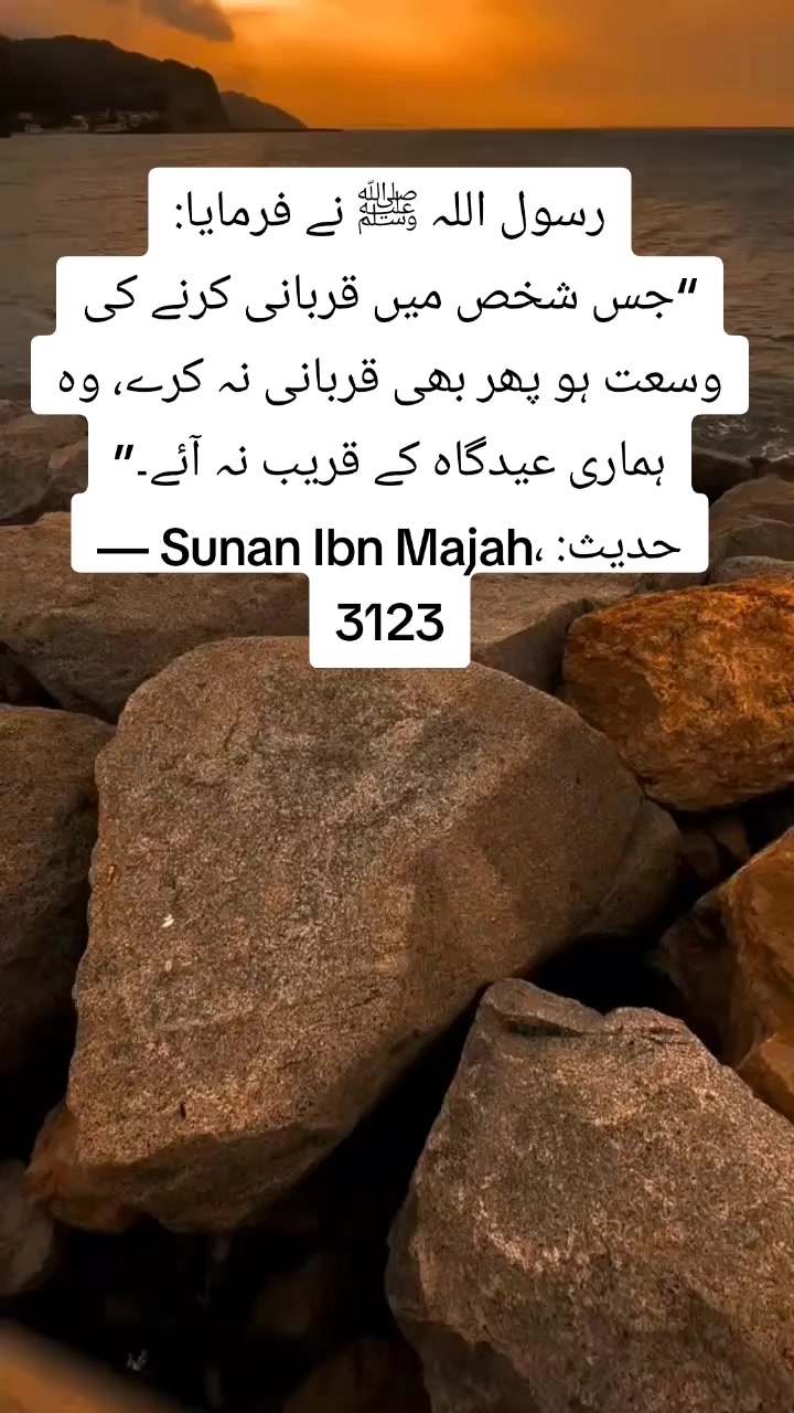 @💪🦅&Ntilde;R🦅🇵🇰