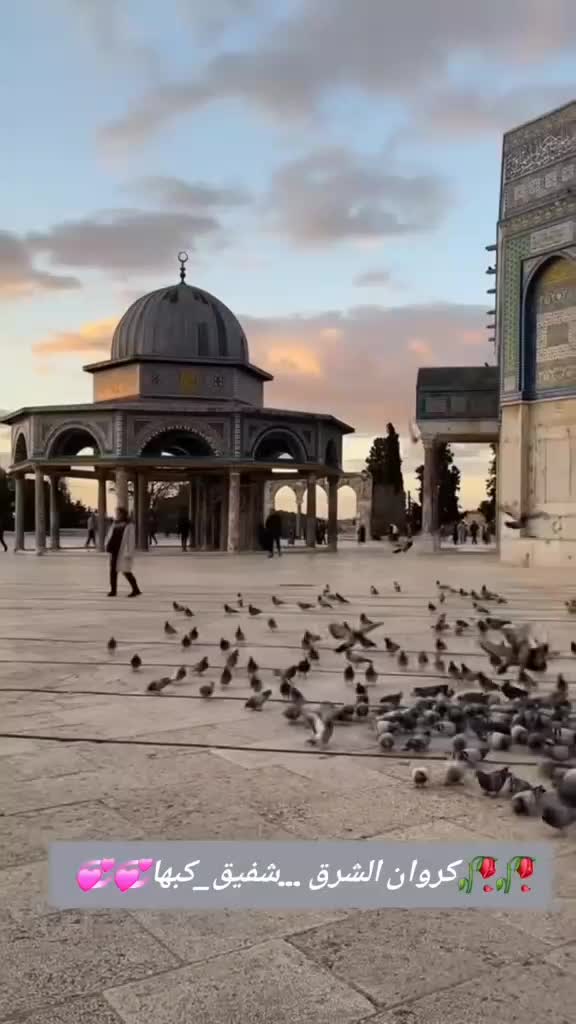 @ابو ايهم15