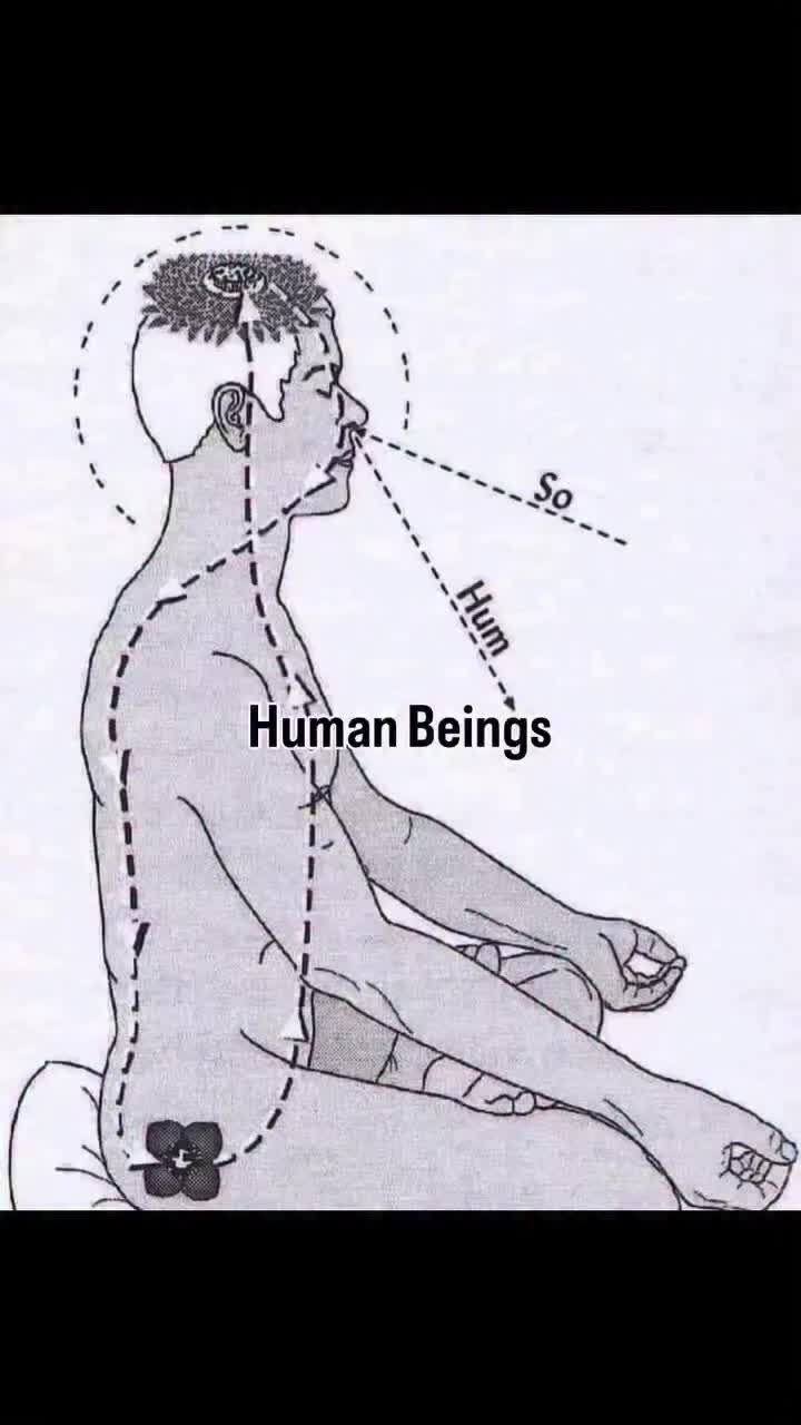 @BL