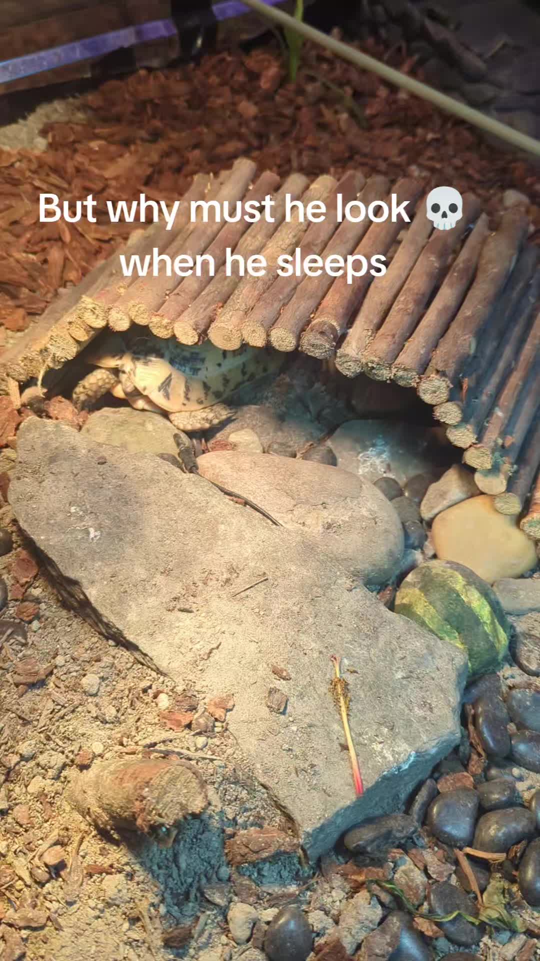 @kaseyb27