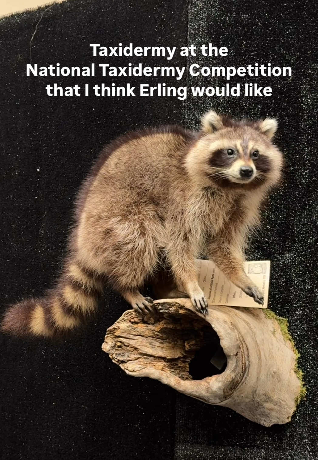 @Ashley Eve