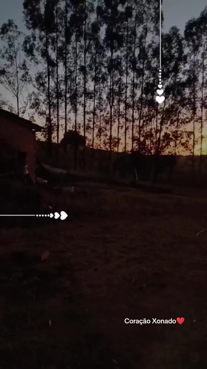 @Coração Xonado❤️