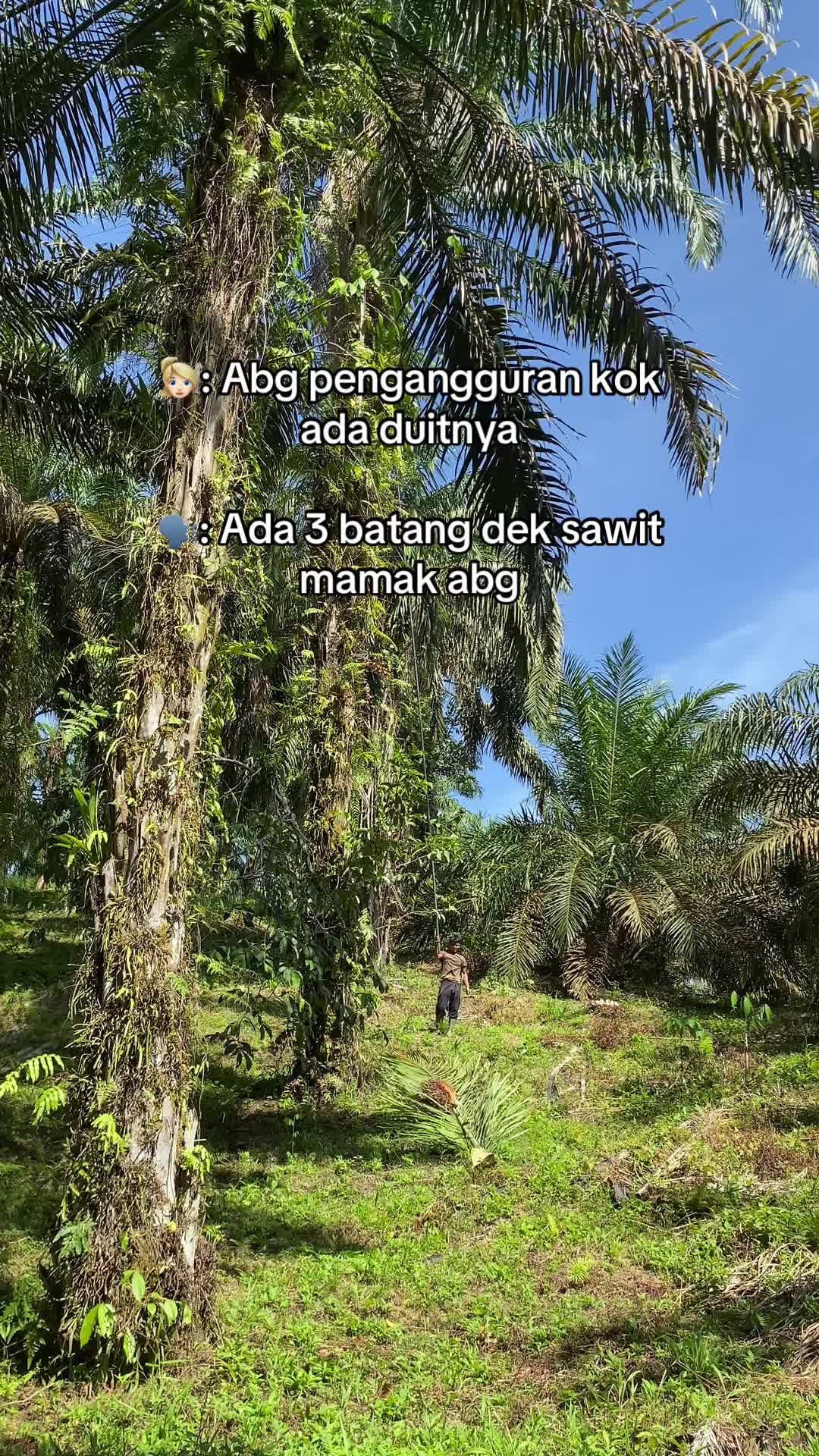 @Bang_buan🕸️