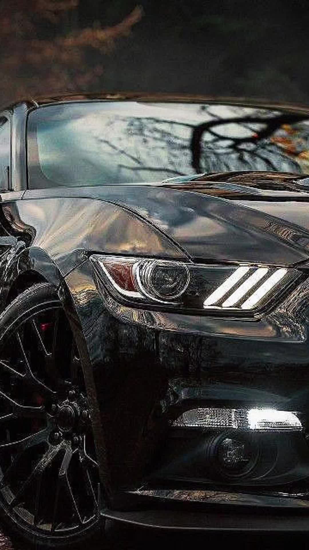 @c.c.wolfgirl18
