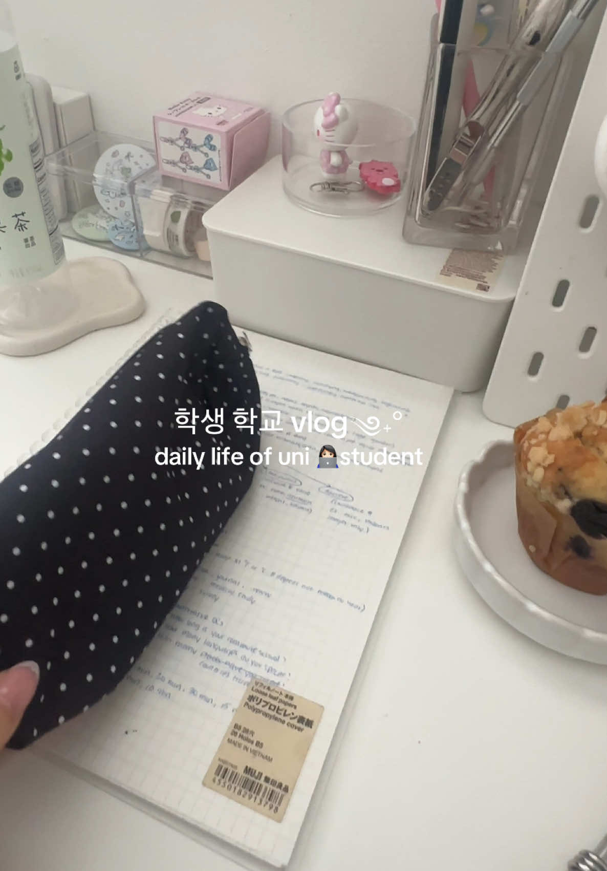 @bora ✦