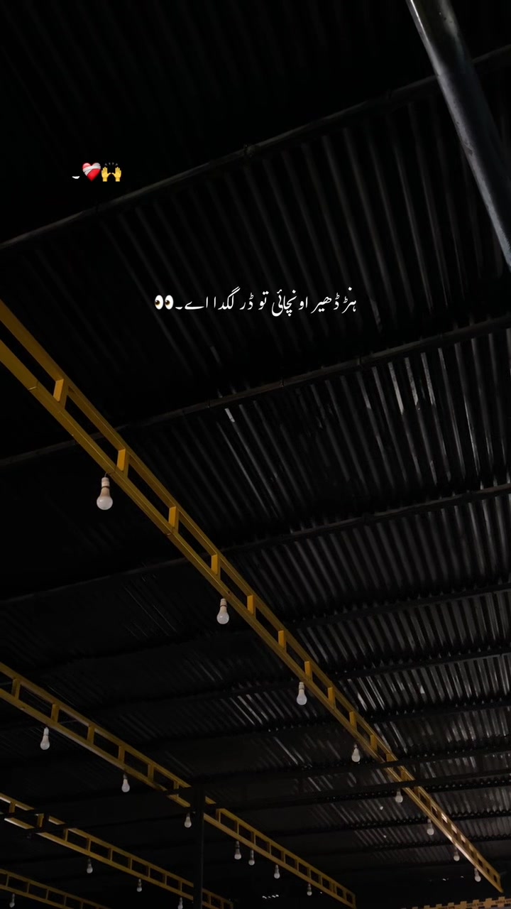 @husi_editx