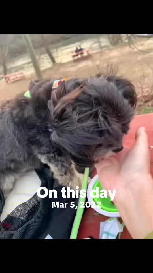 @Katrin - HappyPawsPantry