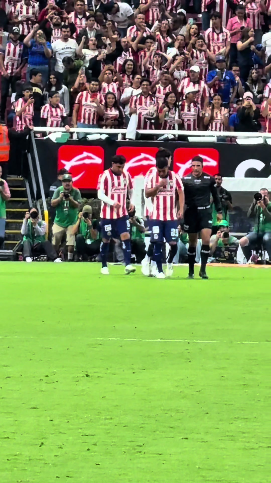 @Liga BBVA MX