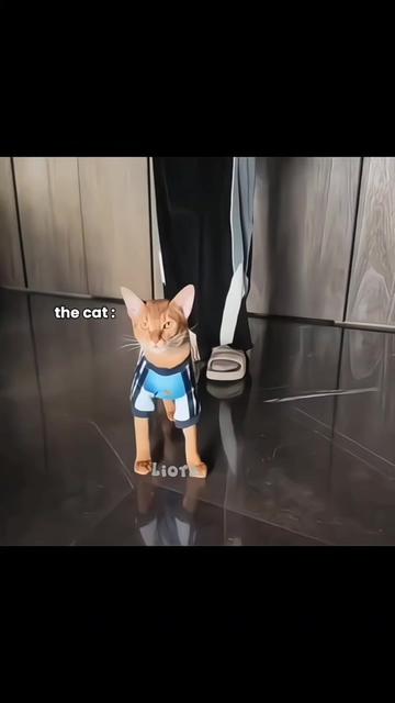 @𝐋 𝐢 𝐨 𝐫 𝐚