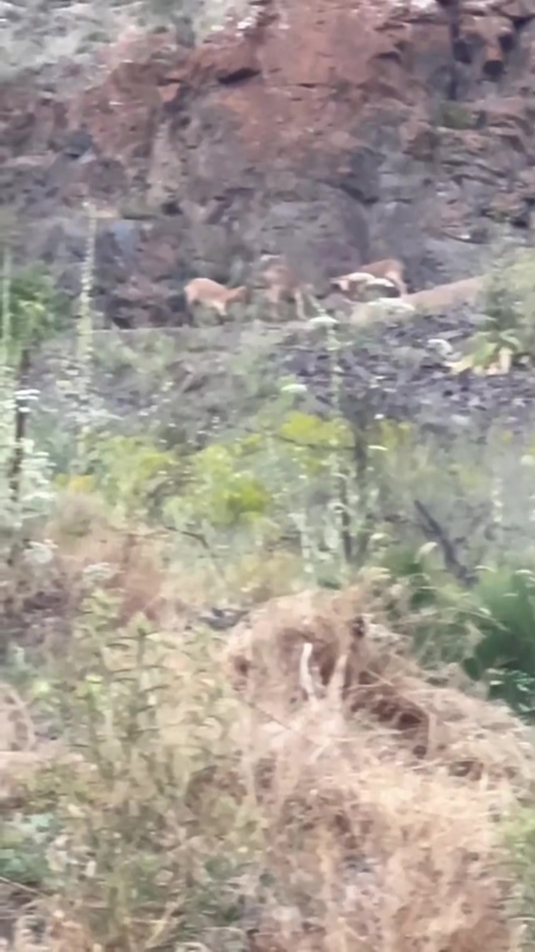 @Eldəniz_Baykal_222✅