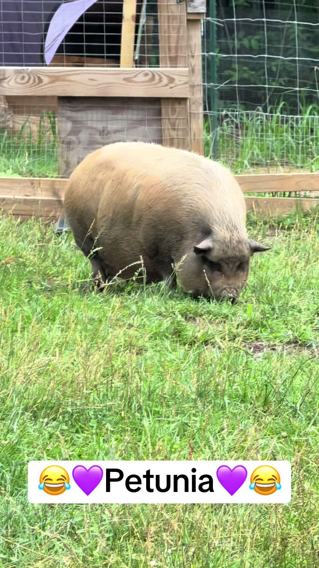 @merrickfarmstead