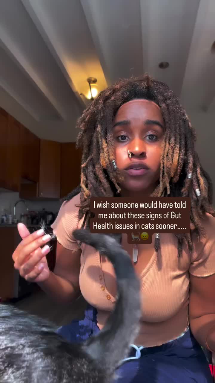 @TheCommonKitties 🐾