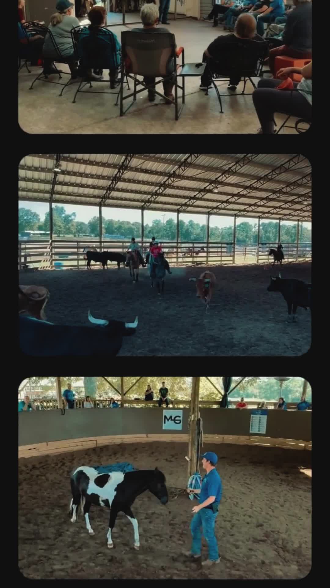 @Horse Help