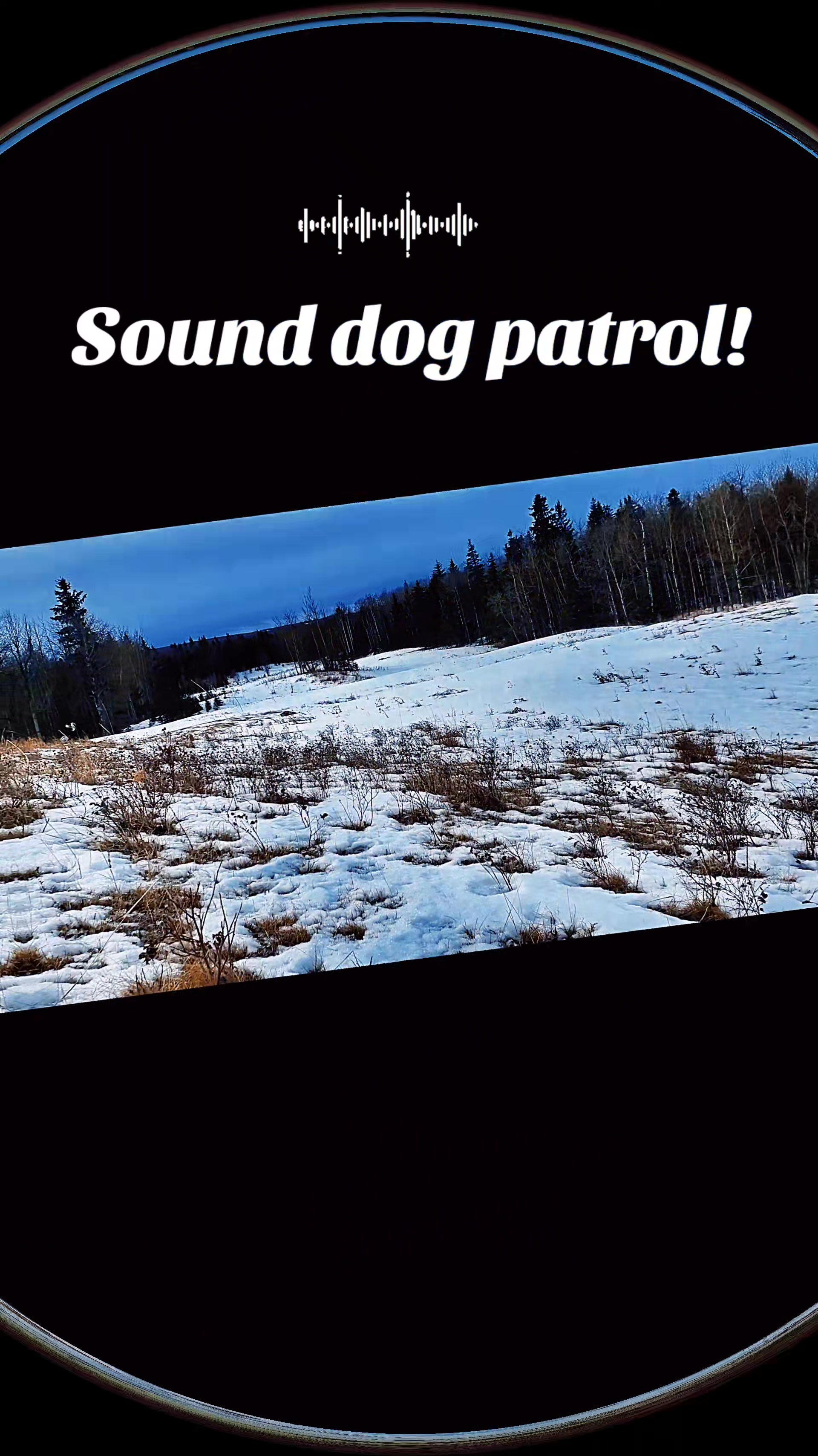 @ddwildhunts
