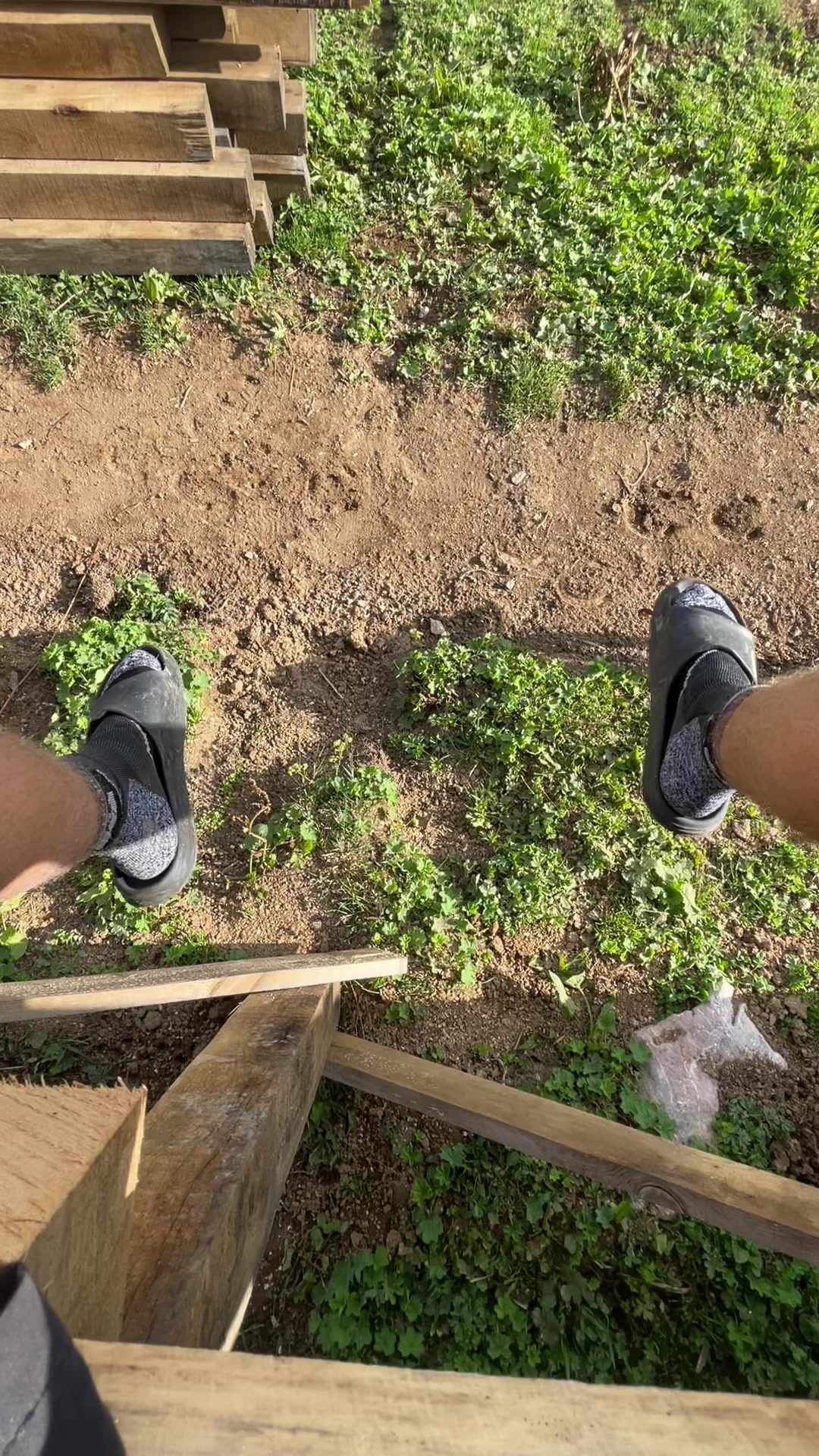 @ваня палка