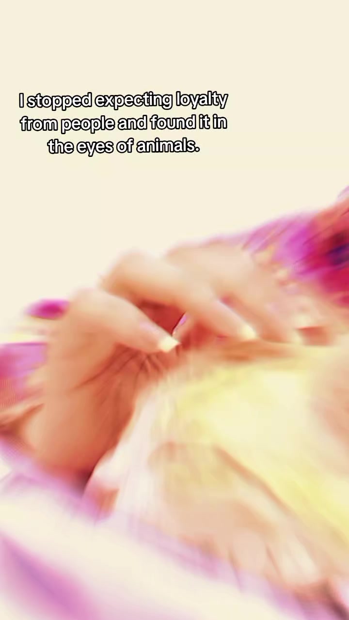 @〖MoͥŇiͣkͫส〗