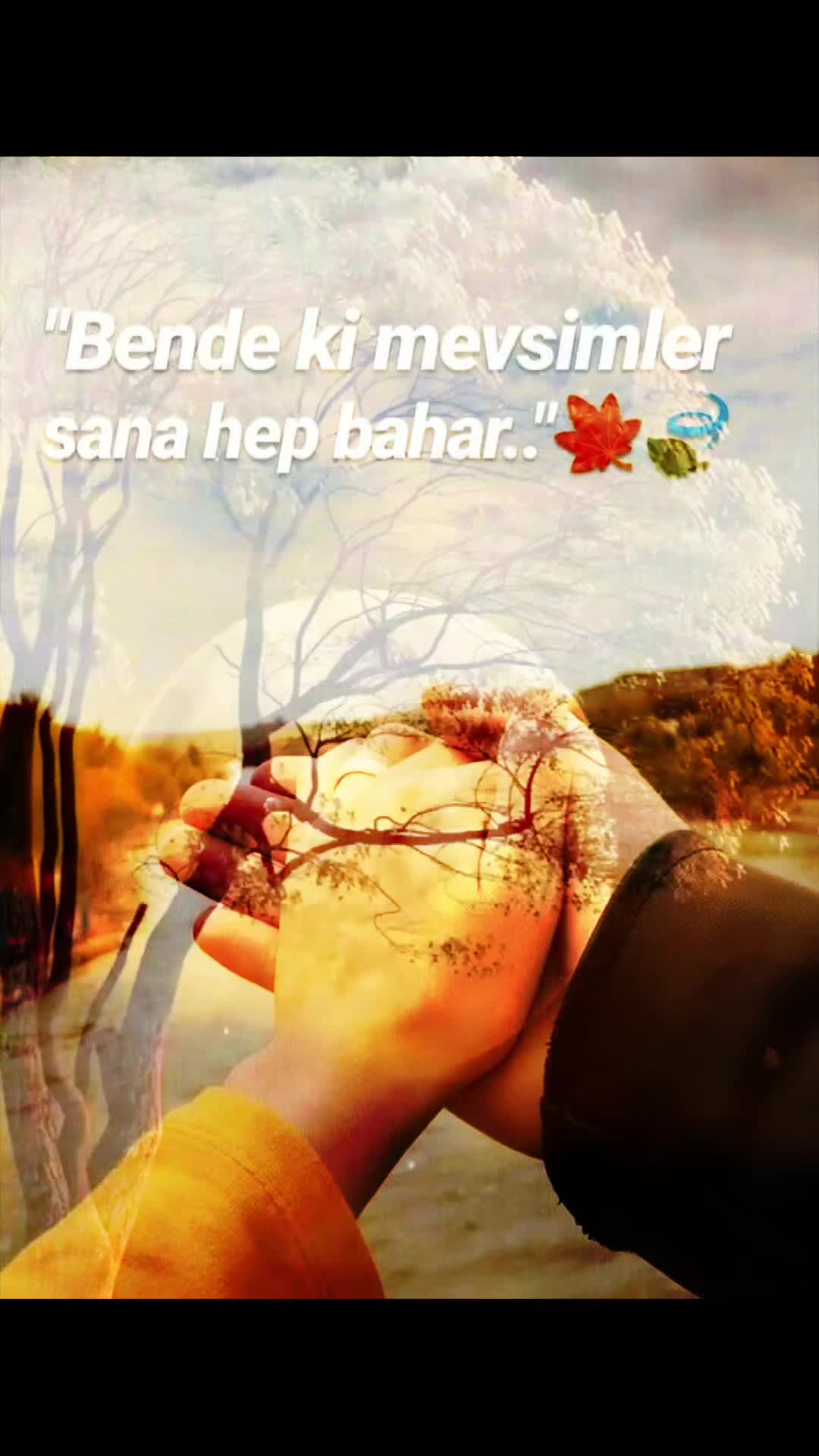 @Ayperi