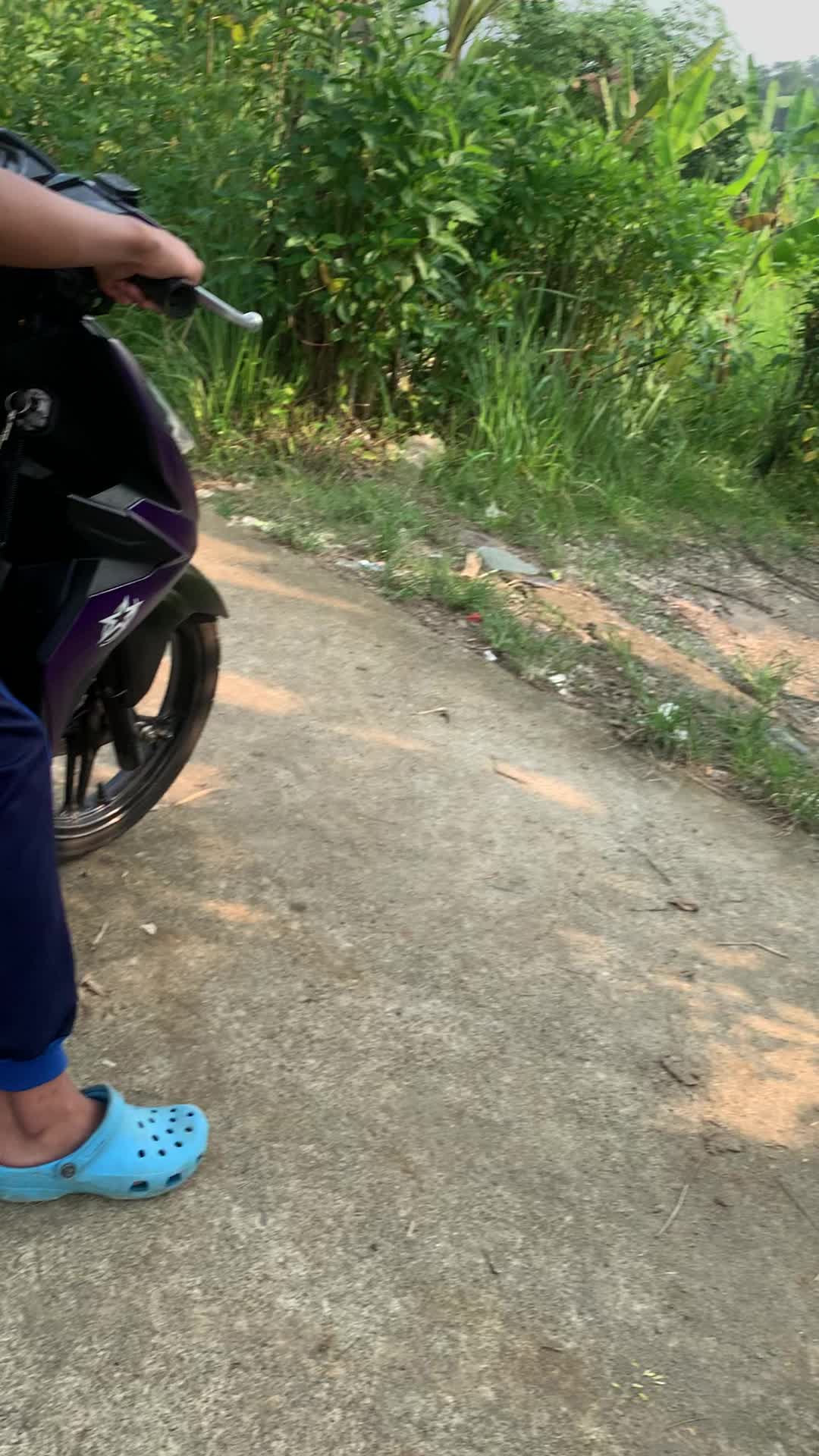 @rfzyshywhy