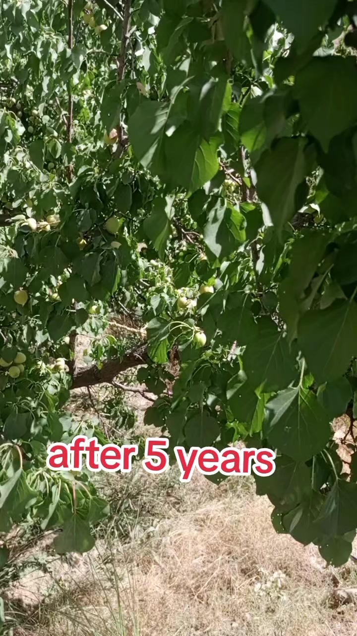 @Bi س millah ku ن di