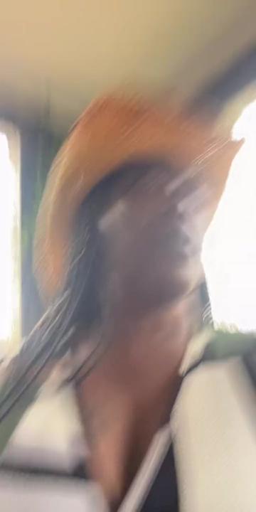 @❌♈️ToniaDenise♈️❌